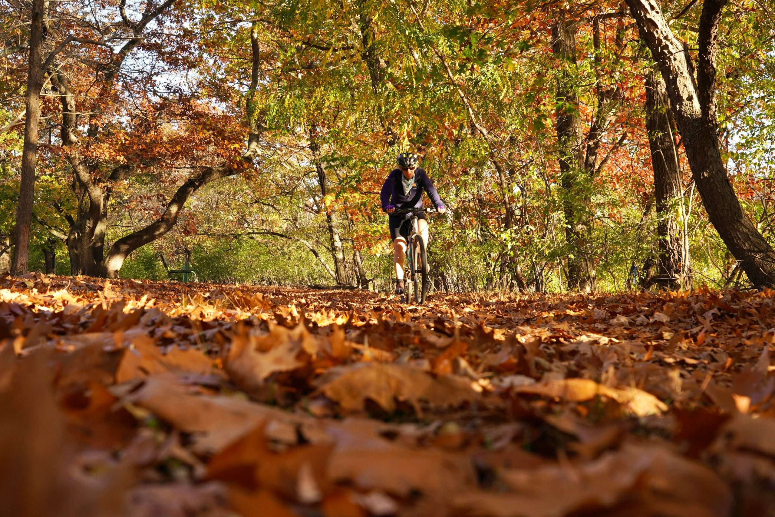 Cycling in autumn