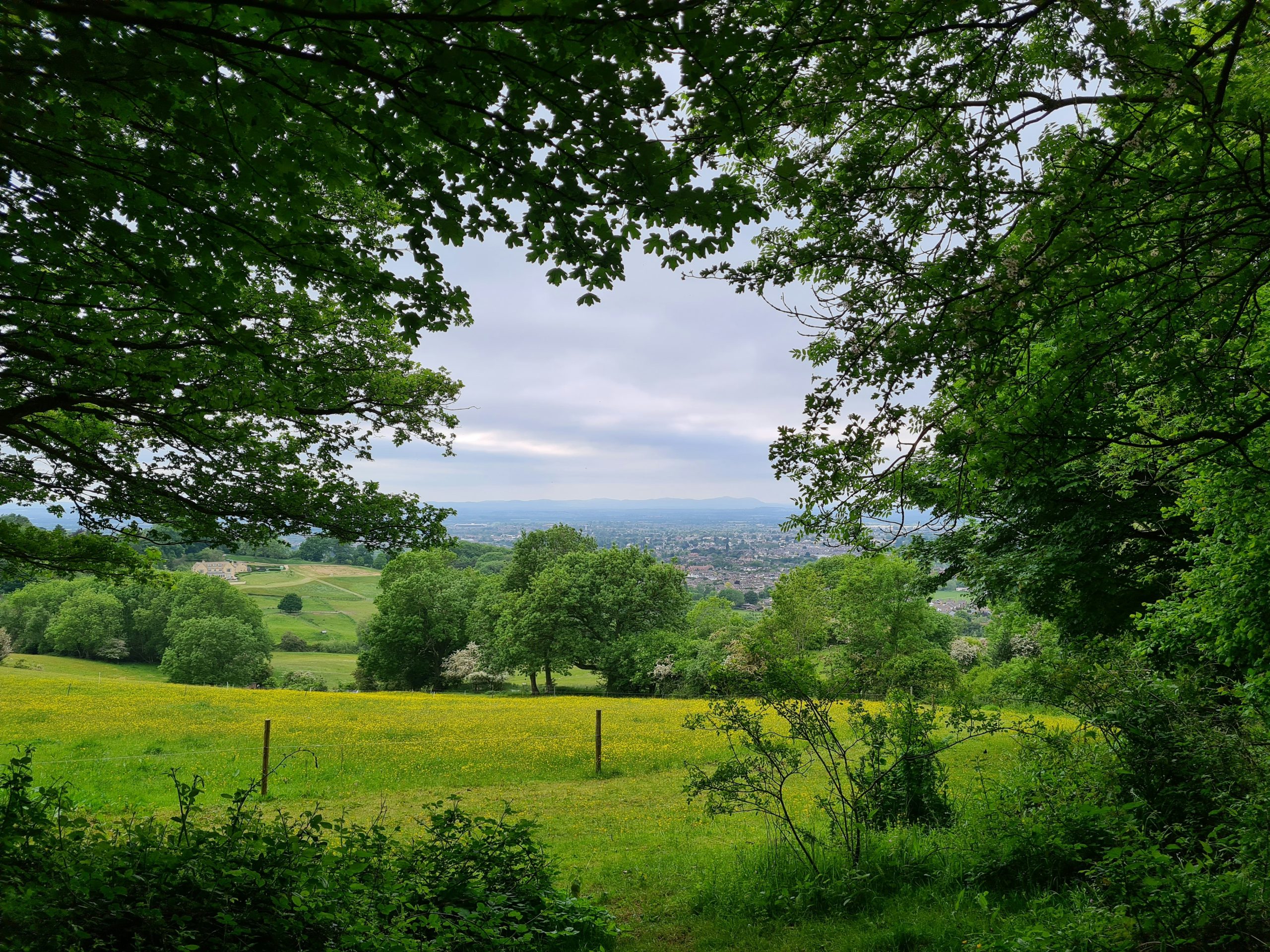 Rural mobility pilot projects evaluation report now published